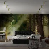 Спот Over 370753