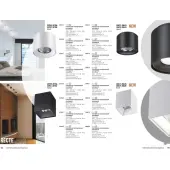 Спот Recte 358478