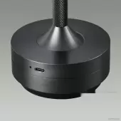 Настольная лампа Tet-A-Tet 5034/6TL