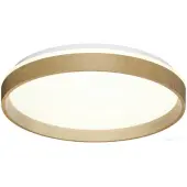 Припотолочная люстра Basica 7684/DL