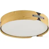 Припотолочная люстра Coraggio 7721/65L