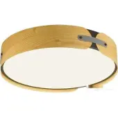 Припотолочная люстра Coraggio 7721/65L