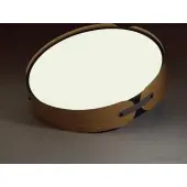 Припотолочная люстра Coraggio 7721/65L