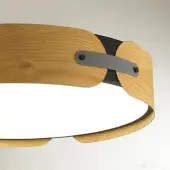 Припотолочная люстра Coraggio 7721/65L