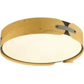 Припотолочная люстра Coraggio 7721/65L