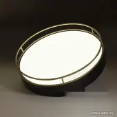 Припотолочная люстра Lofty 7723/65L