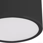 Припотолочная люстра Медина 05510.19 (черный)