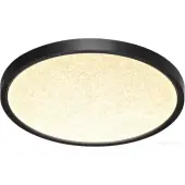 Светильник-тарелка Omega Black 7662/24L