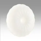 Припотолочная люстра Pale 7678/EL