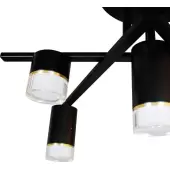 Люстра средней высоты Нилс 07850-7,19