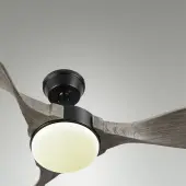 Светильник с вентилятором Storm 7702/24L