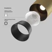 Трековый светильник Artisan TR097-2-12W4K-M-BMG