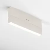 Спот Basis Rot C133CL-12W4K-W