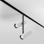 Трековый светильник Elti TR005-2-12W4K-BW