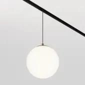 Трековый светильник Luna TR039-2-5W4K-W