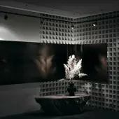 Трековый светильник Orlo TR085-1-5W4K-B