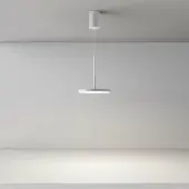 Подвесная люстра Plato P076PL-L12W4K-W