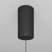 Подвесная люстра Ray P022PL-L20B3K