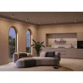 Точечный светильник Spark C094-GU10-MG