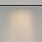 Трековый светильник Spiky TR175-1-12WTW-M-B