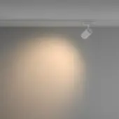 Трековый светильник Vuoro TR029-3-10W3K-W-W