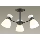 Припотолочная люстра Wilma 4534/3C
