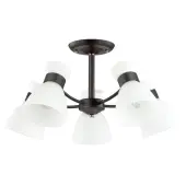 Припотолочная люстра Wilma 4534/5C