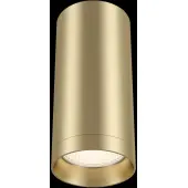 Спот Focus C010CL-01MG