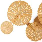 Бра Lovetann MOD082WL-04G