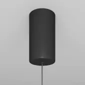 Подвесная люстра Ray P022PL-L10B