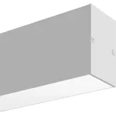 Линейный светильник TR012-2-20W3K-W