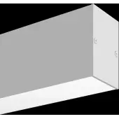 Линейный светильник TR012-2-20W3K-W