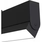 Спот TR013-2-20W3K-B