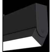 Спот TR013-2-20W3K-B