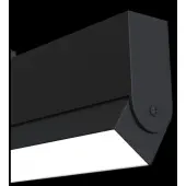 Спот TR013-2-20W4K-B