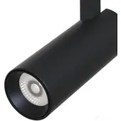 Спот TR019-2-10W4K-B