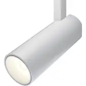 Точечный светильник TR019-2-10W4K-W